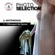 clicca per visionare l'immagine ingrandita