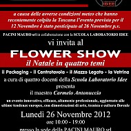 clicca per visionare l'immagine ingrandita