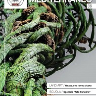 clicca per visionare l'immagine ingrandita