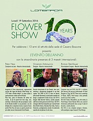 clicca per visionare l'immagine ingrandita