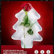 clicca per visionare l'immagine ingrandita