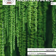 clicca per visionare l'immagine ingrandita