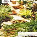 Anteprima Laboratorio Mediterraneo N 45   